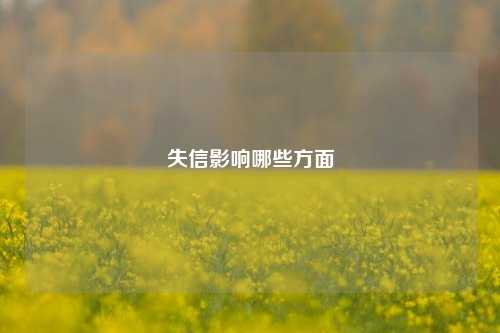 失信影响哪些方面